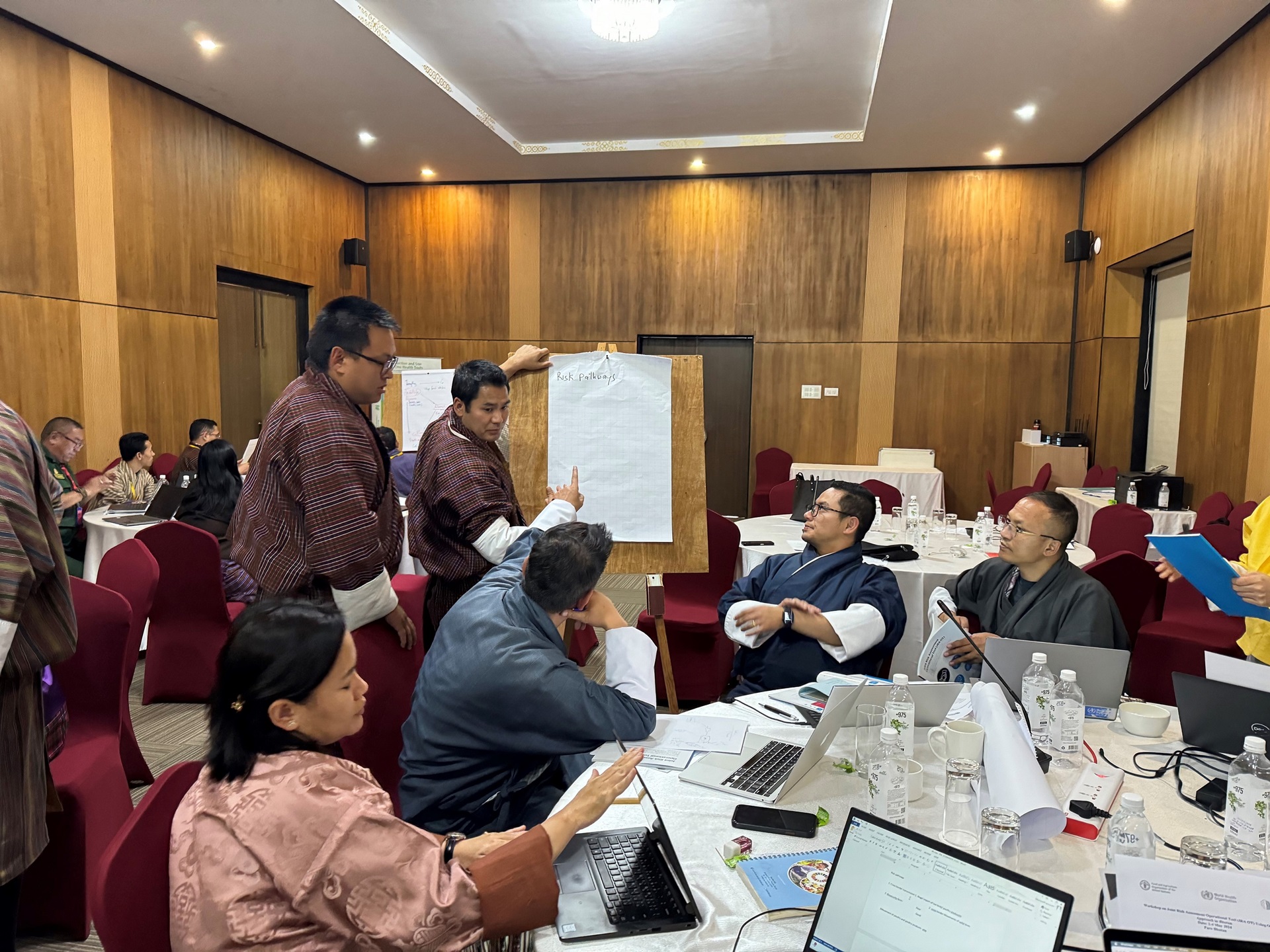 H5N1 cluster investigation in Sarpang